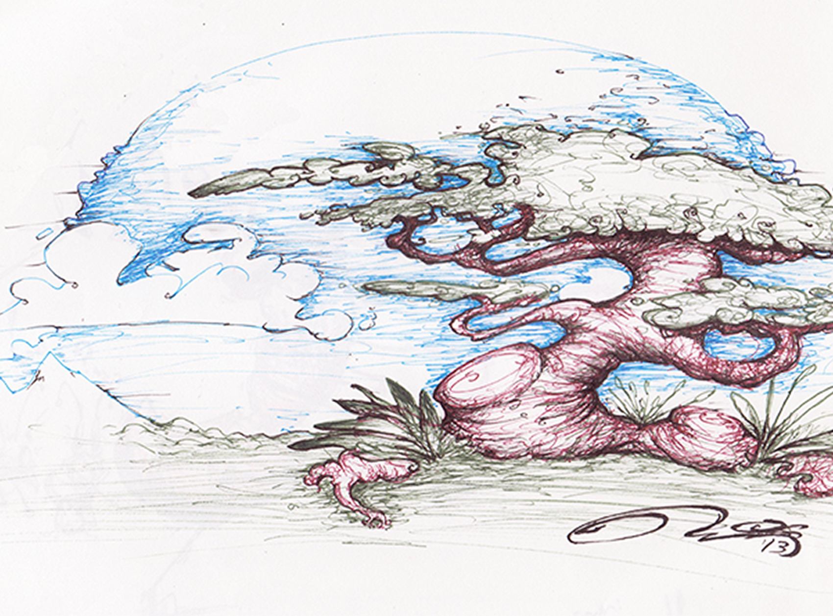 Bonsai Tree illustration